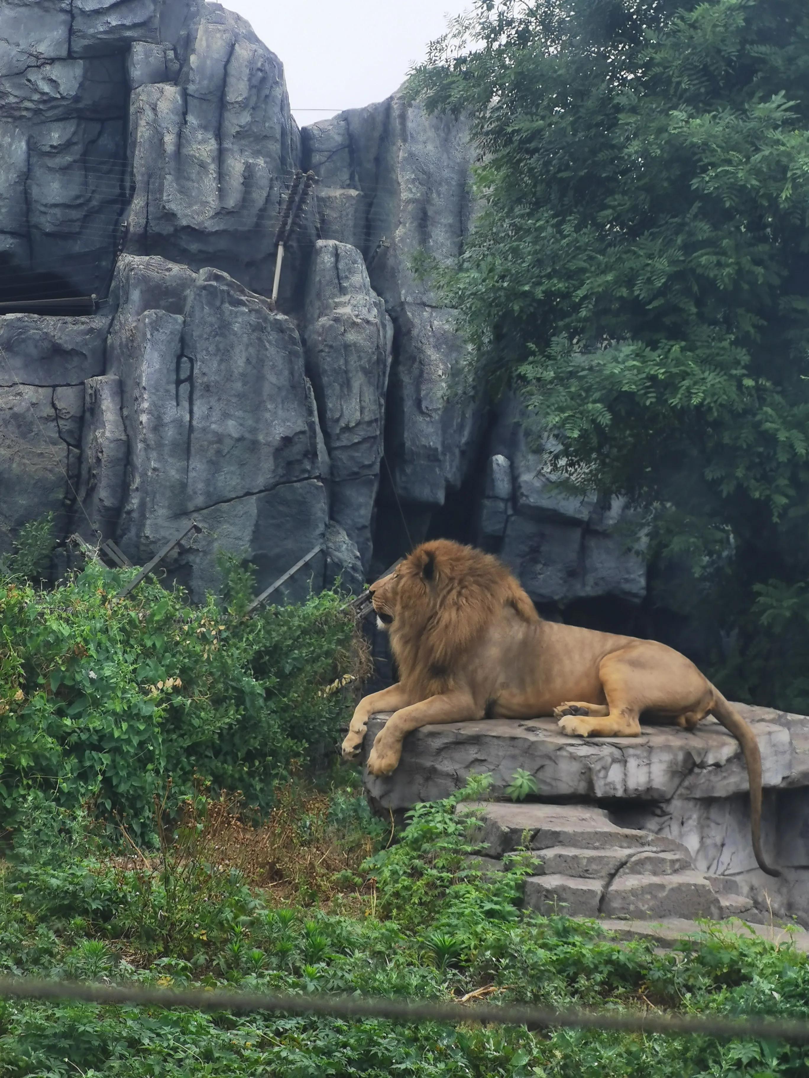 唐山，历史与文化交融的变迁之城