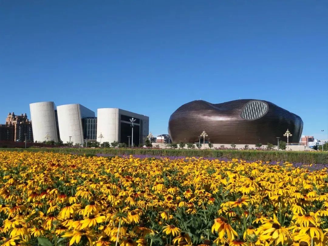 鄂尔多斯，科技重塑生活，未来之城触手可及