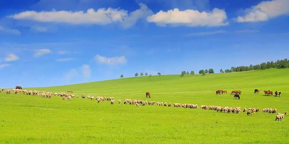 呼伦贝尔，自然美景探索之旅