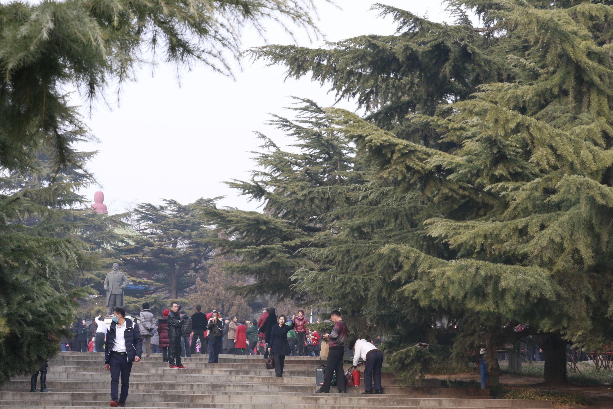 大连,历史、文化、经济与环境概览